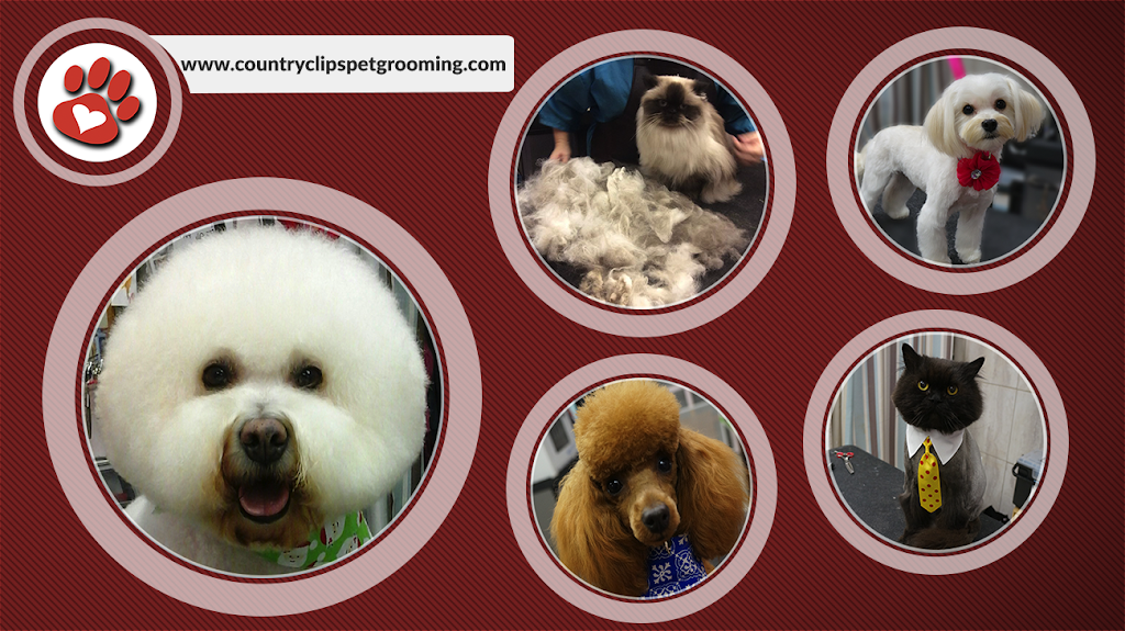 Rachel Anns Country Clips Pet Grooming | 2652 PA-940 #105, Pocono Summit, PA 18346, USA | Phone: (570) 839-6575