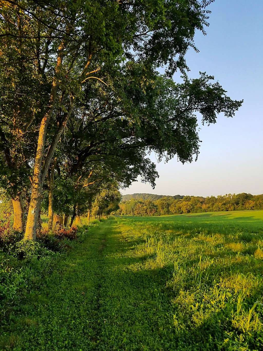 Monocacy National Battlefield-Thomas Farm Loop Trail | Unnamed Road, Frederick, MD 21704, USA