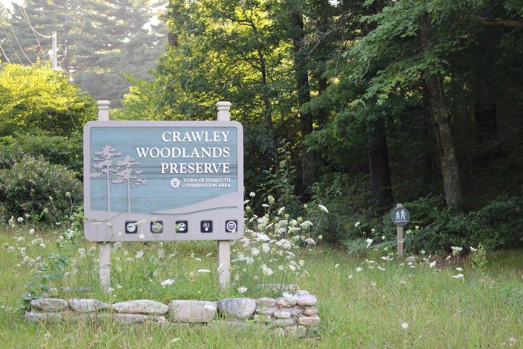 Crawley Woodlands Preserve | 331 Billington St, Plymouth, MA 02360, USA