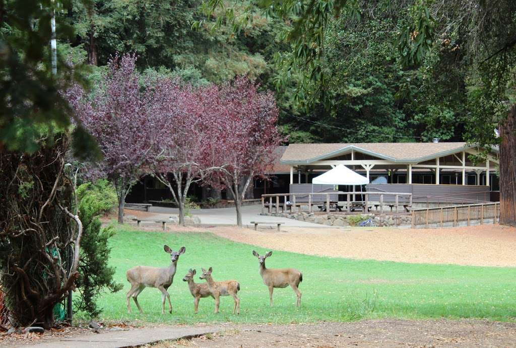 Westminster Woods Camp, Retreat Center, and Outdoor School | 6510 Bohemian Hwy, Occidental, CA 95465, USA | Phone: (707) 874-2426