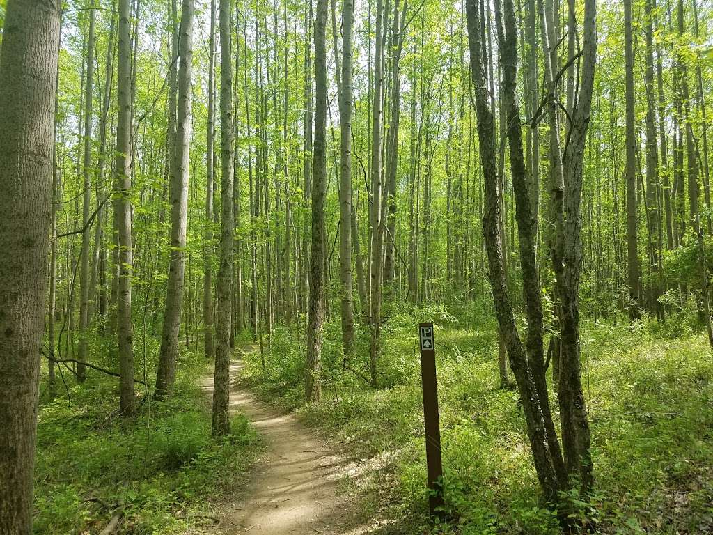 Bacon Ridge Park, Bike Trail, AA County | 1801 Hawkins Rd, Annapolis, MD 21401, USA