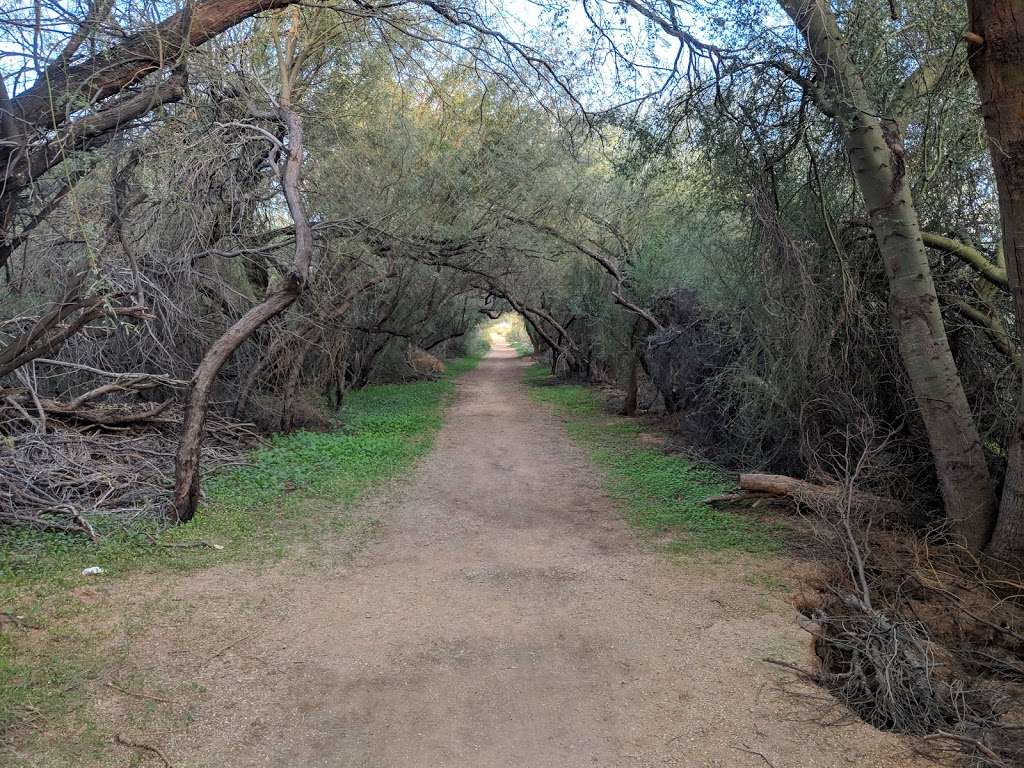 Bullfrog Pond | Phoenix, AZ 85050, USA