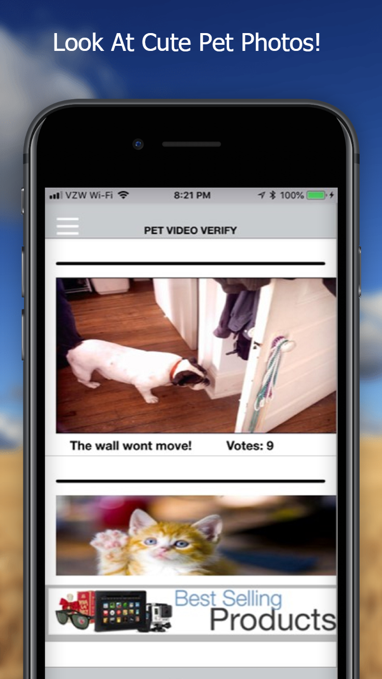 Pet Video Verify | 8271 City Loft Ct, Raleigh, NC 27613, USA | Phone: (984) 444-9352