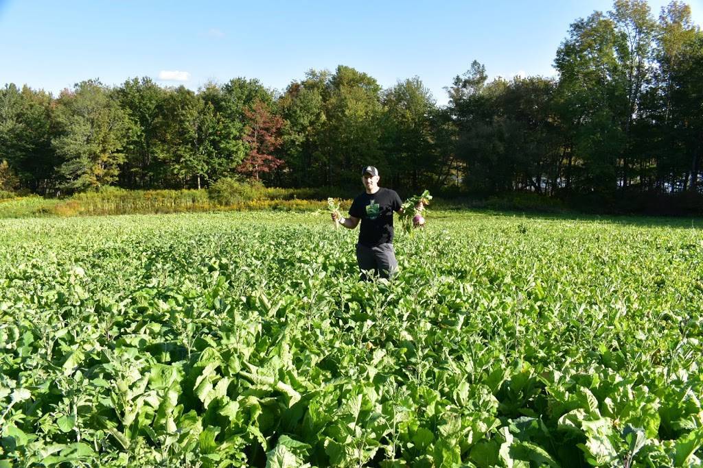 FAST Food Plots | State Route 247, Clifford, PA 18421, USA | Phone: (570) 351-2819