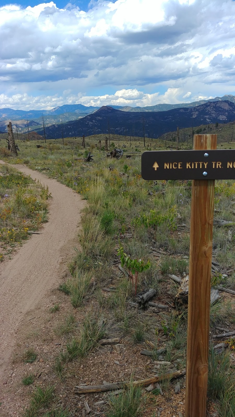 Nice Kitty Trail | Pine, CO 80470, USA