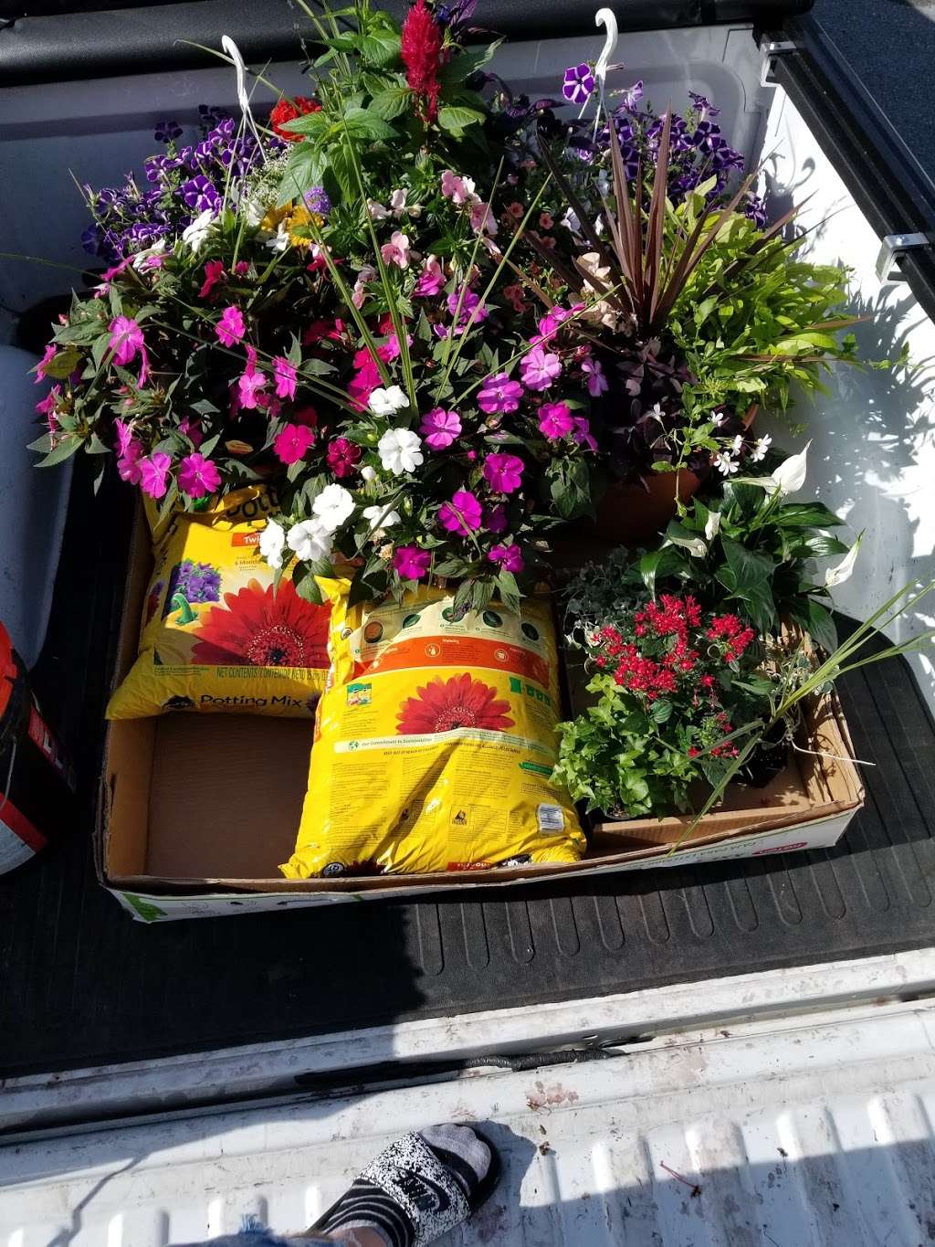 Levengoods Flowers Inc | 9557, 7652 Boyertown Pike, Douglassville, PA 19518, USA | Phone: (610) 689-5182