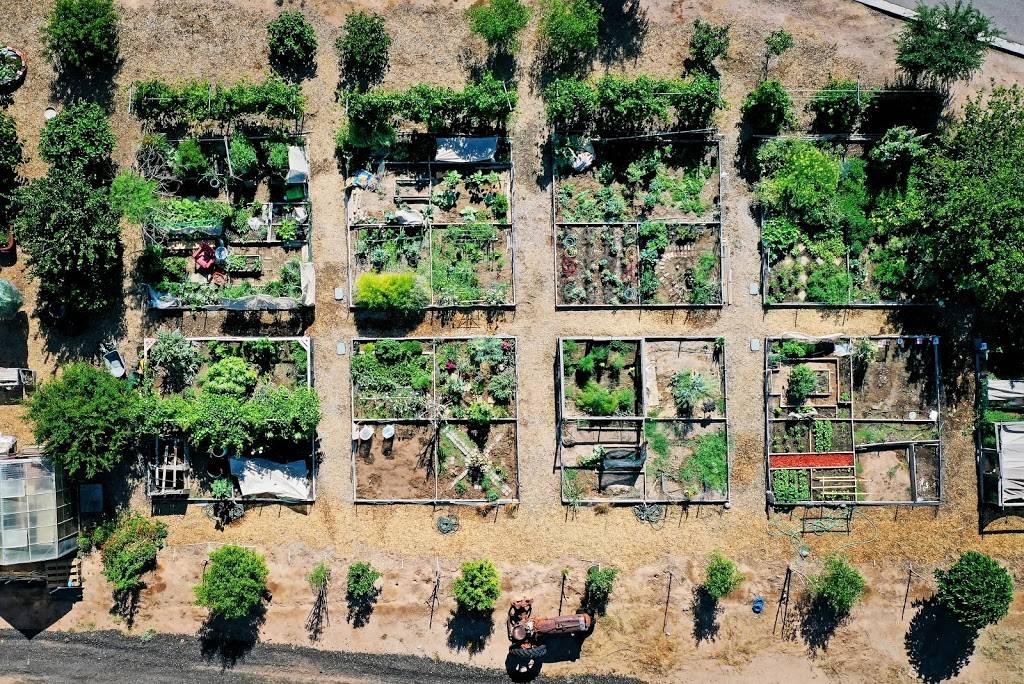 The Grove Community Garden | 2777 S Gilbert Rd, Chandler, AZ 85286, USA | Phone: (480) 883-3733