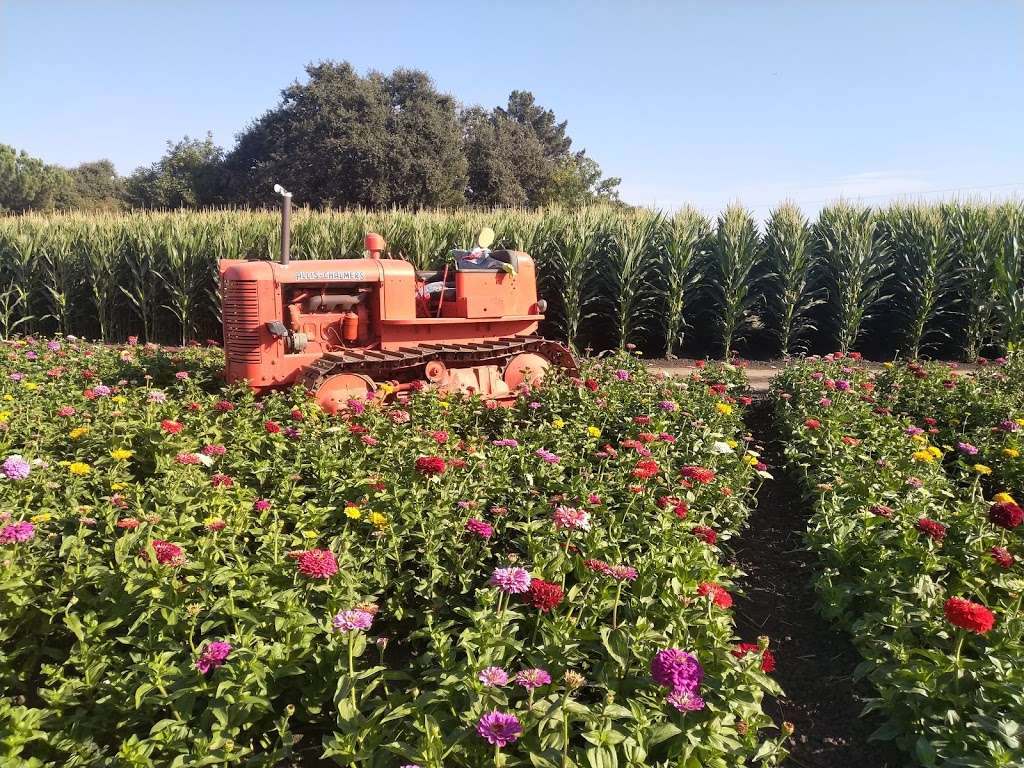 Spina Farms | Santa Teresa Blvd, Morgan Hill, CA 95037, USA | Phone: (408) 763-1093