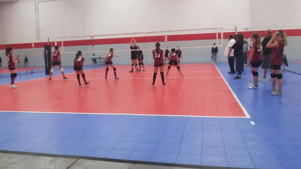 Its All Volleyball | 530 E Pamalyn Ave, Las Vegas, NV 89119, USA | Phone: (702) 695-6769