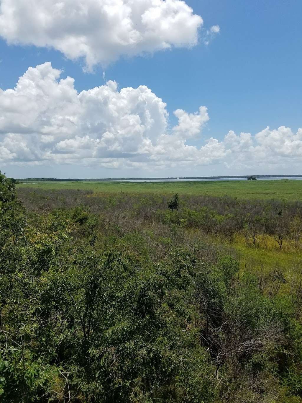 Lake Harney Wilderness Area | 2187 Osceola Fish Camp Rd, Geneva, FL 32732, USA