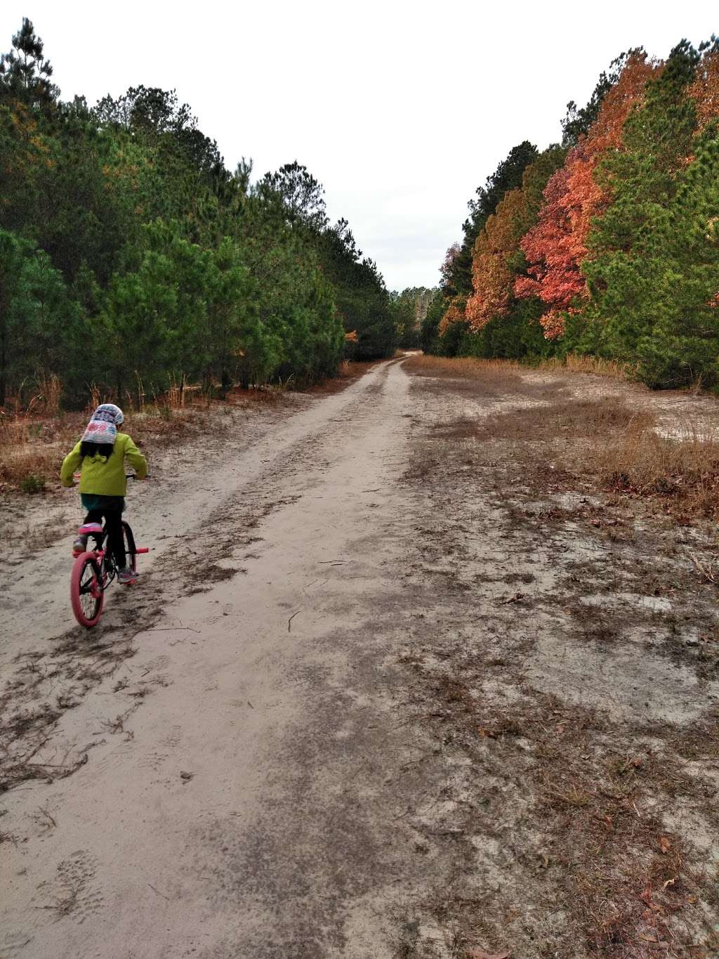 Holts Landing State Park | Holts Landing Road, Park office at 39415 Inlet Rd., Rehoboth Beach, DE, Dagsboro, DE 19939, USA | Phone: (302) 227-2800