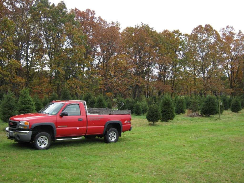 Garden State Lawn and Landscape Company. Greg Ling owner. | 261 County Rd 513, Glen Gardner, NJ 08826 | Phone: (908) 876-4204