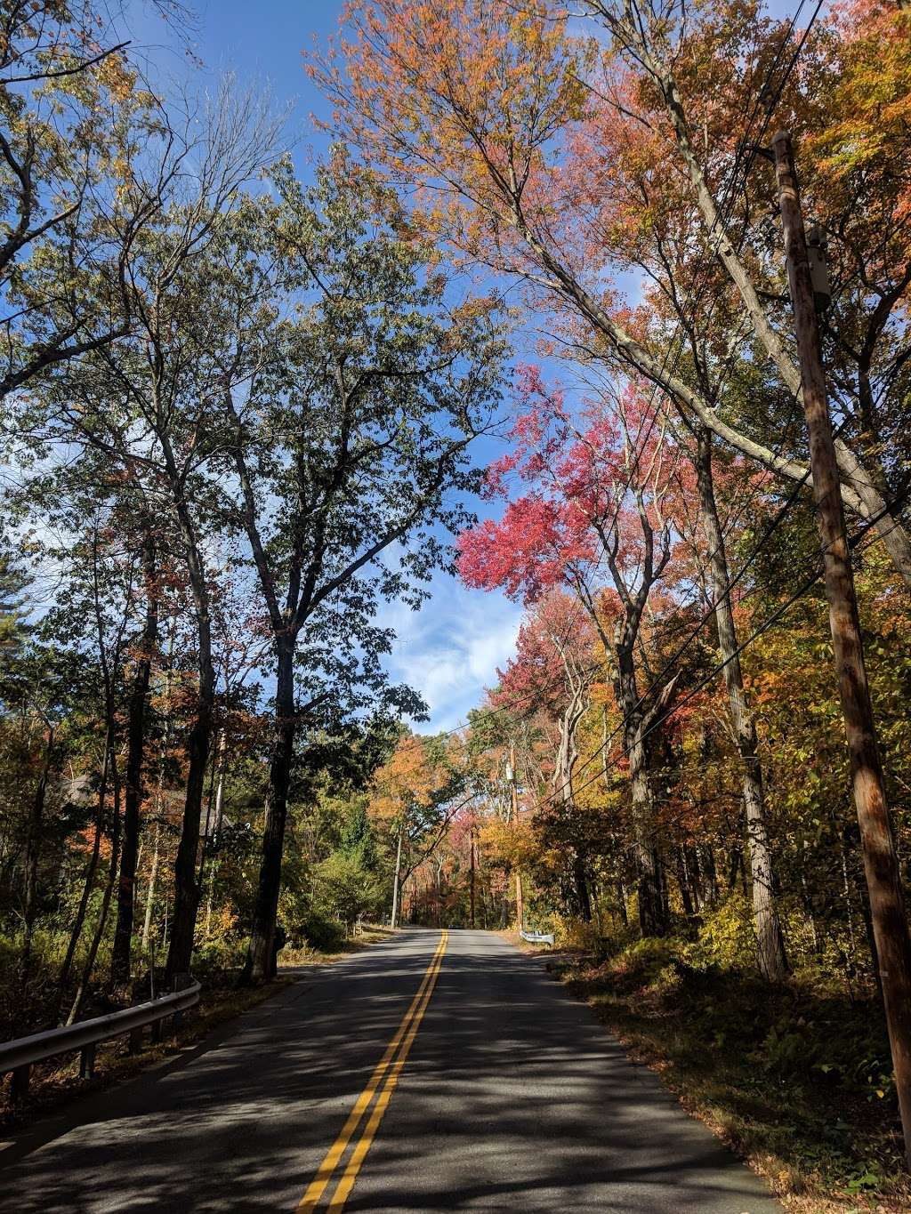 Grassy Pond Conservation Area | Acton, MA 01720, USA | Phone: (978) 929-6640