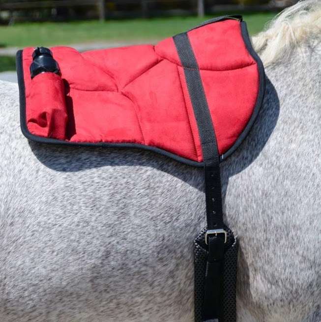 Horse Tack Co | 116 King Ct, New Holland, PA 17557, USA | Phone: (800) 623-4805
