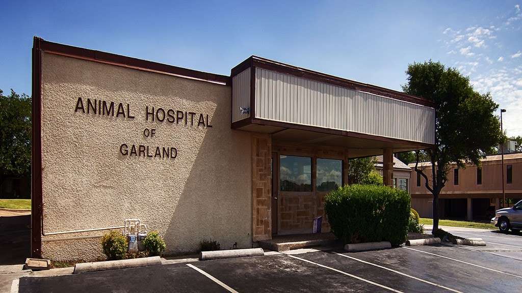 Animal Hospital of Garland | 1305 Northwest Hwy, Garland, TX 75041, USA | Phone: (972) 271-2687