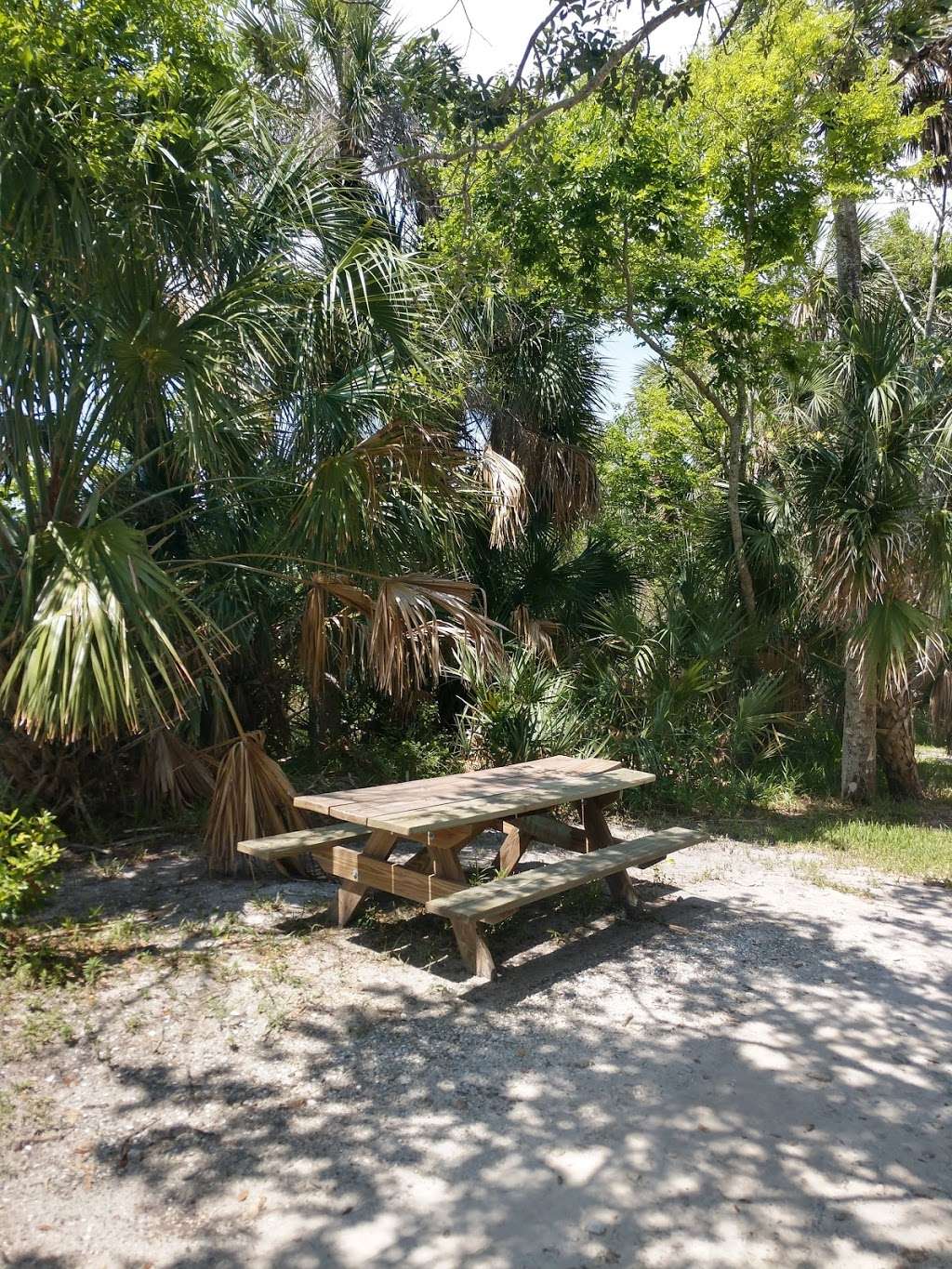 Eldora House | New Smyrna Beach, FL 32169, USA | Phone: (386) 428-3384