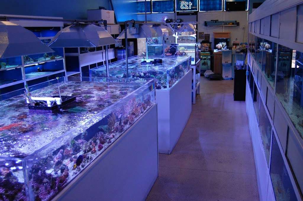 Blue Reef Aquatics | 5960 Losee Rd, North Las Vegas, NV 89081, USA | Phone: (702) 252-7333