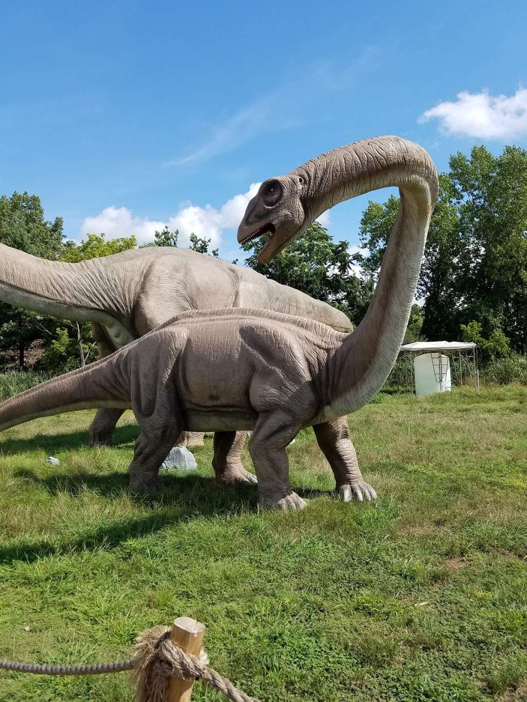 Field Station: Dinosaurs | 40 Fort Lee Rd, Leonia, NJ 07605, USA | Phone: (855) 999-9010