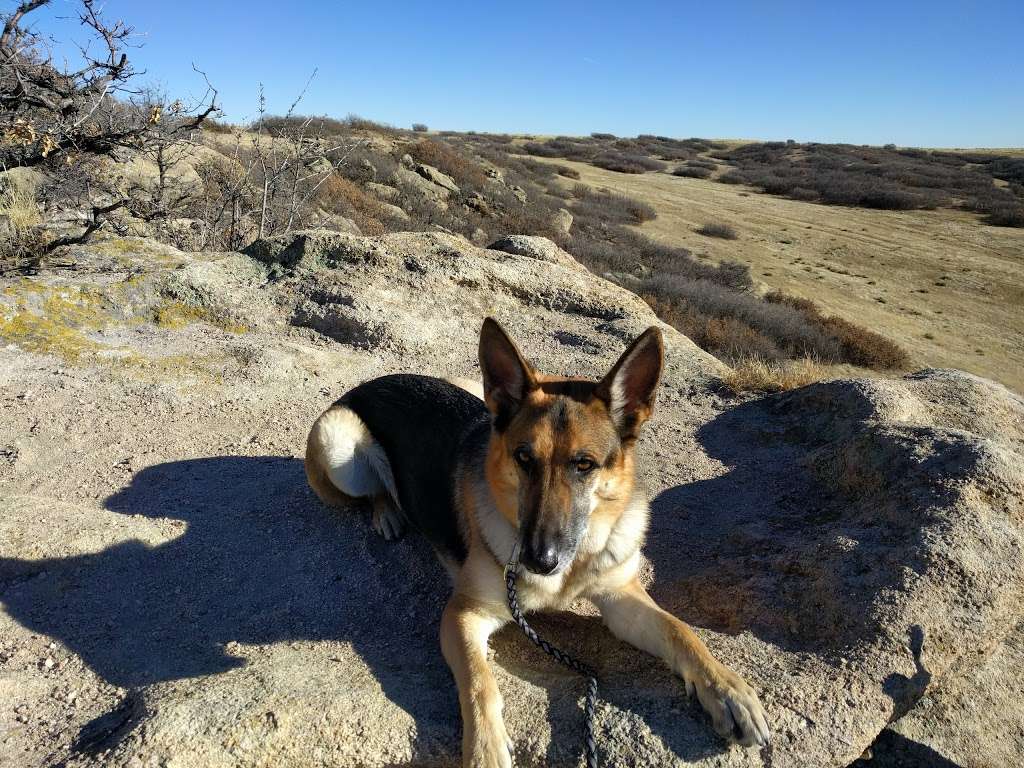 Dog Park | Castle Rock, CO 80108, USA