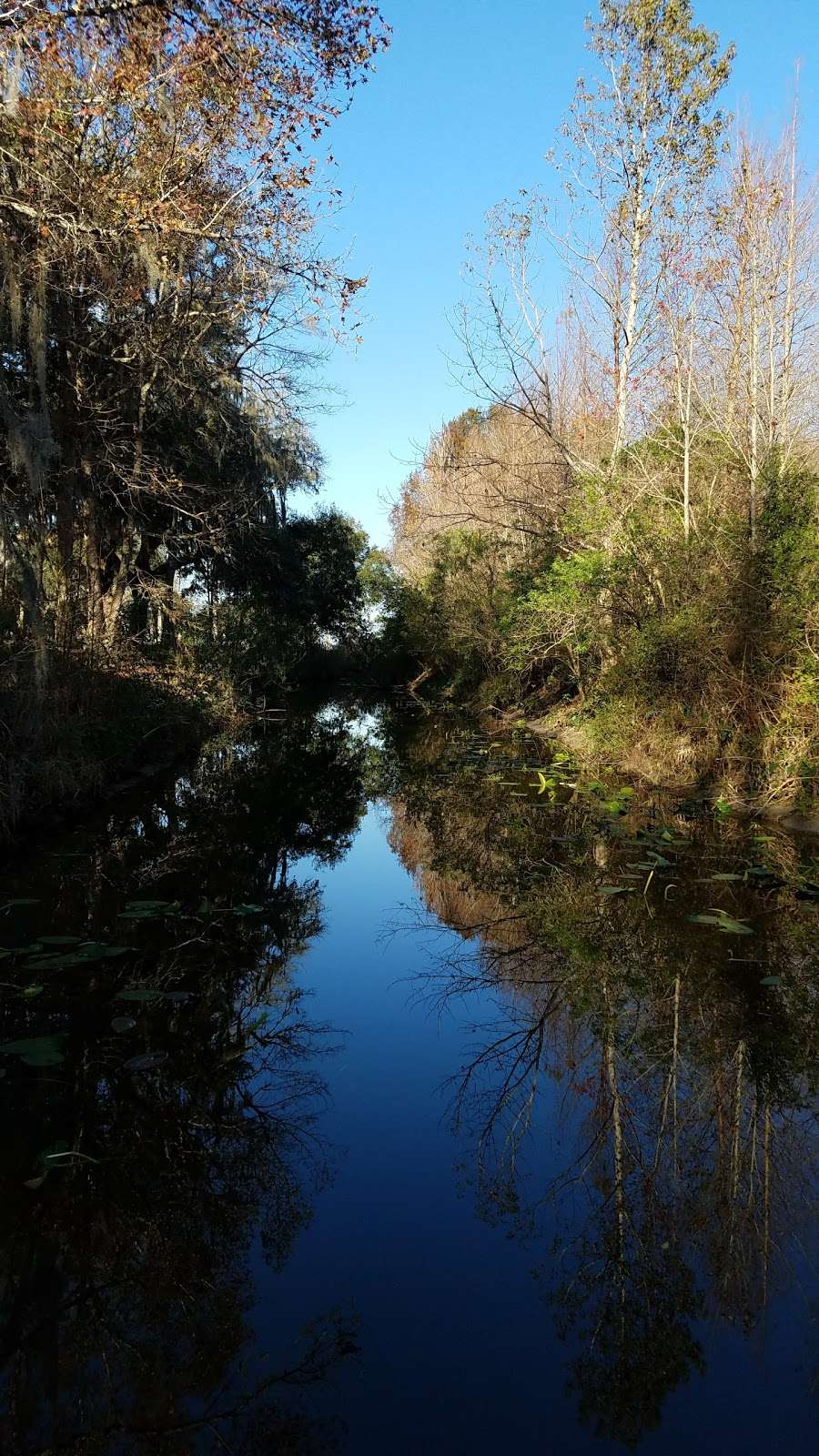 Bryant Ramp | Ocklawaha, FL 32179, USA