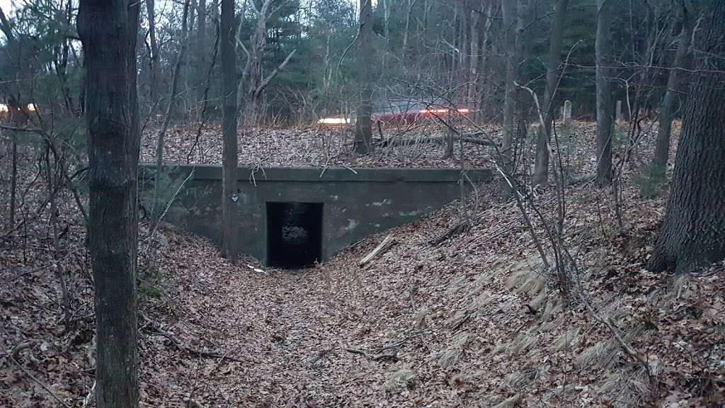 Little Chauncy Pond Trail (Tunnel) | Talbot Rd, Northborough, MA 01532, USA