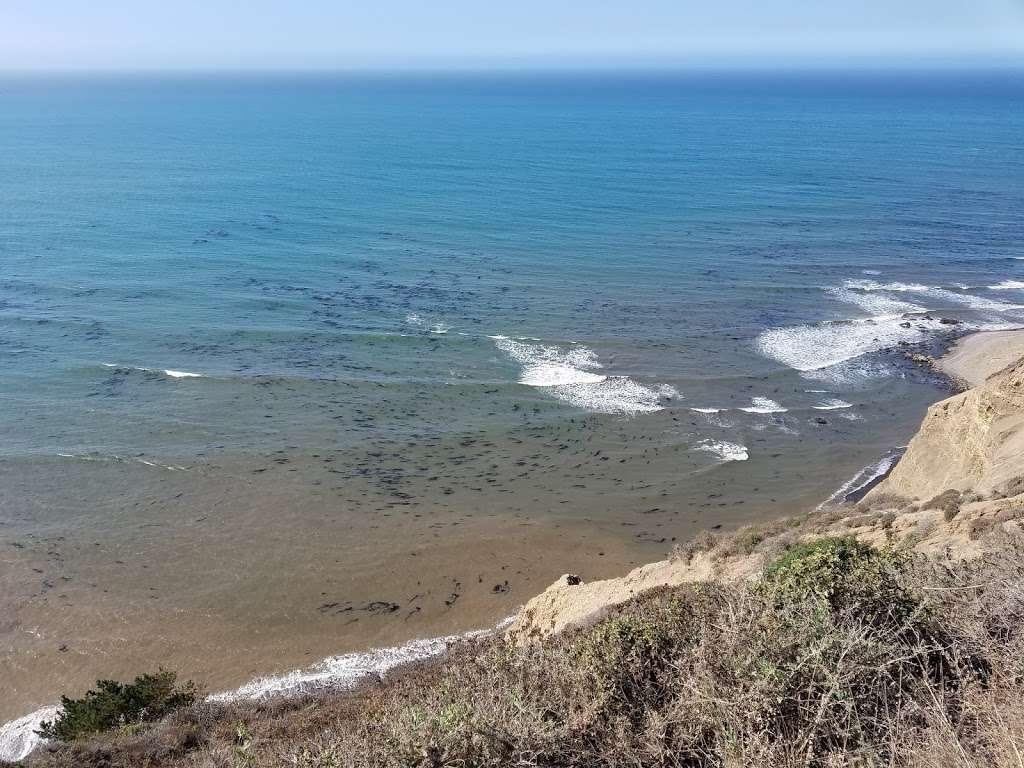 Palomarin Trail Head-Alamere Falls | Palomarin Trail Head, CA 94924, USA | Phone: (415) 464-5100