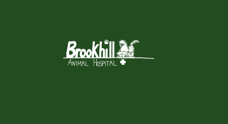 Brookhill Animal Hospital | Brookhill Square N&E, Conyngham, PA 18219, USA | Phone: (570) 788-3700