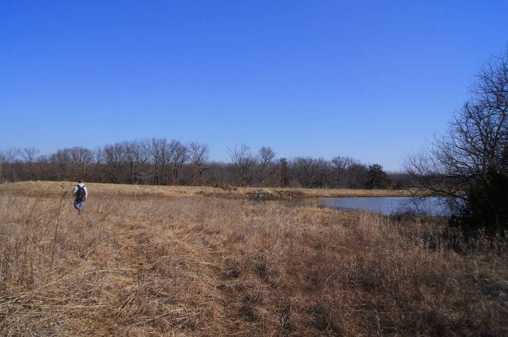 Ralph and Martha Perry Memorial State Wildlife Area | Concordia, MO 64020, USA