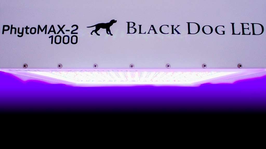 Black Dog LED | 6309 Monarch Park Pl Suite 201, Niwot, CO 80503, USA | Phone: (720) 420-1209