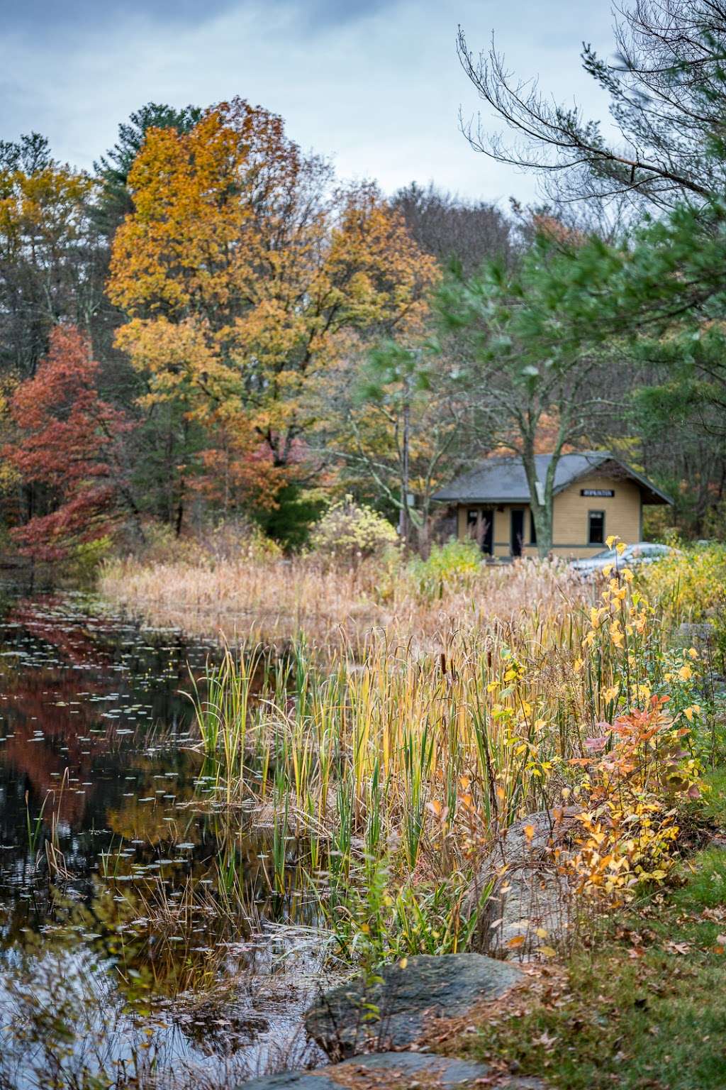 Berry Acres Conservation Area | Hopkinton, MA 01748, USA