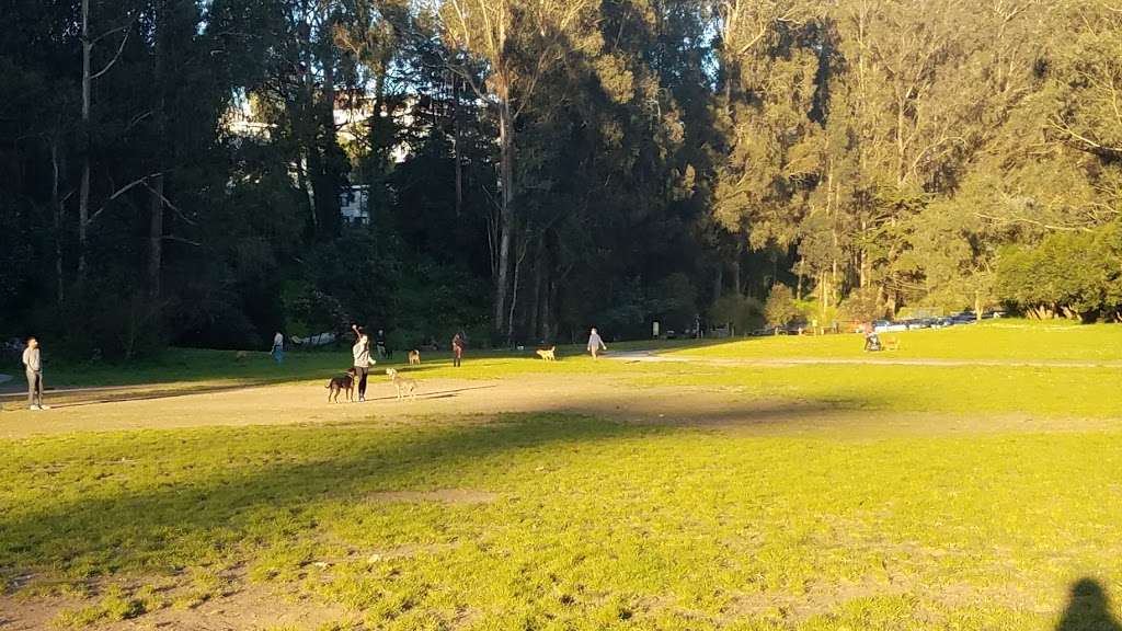 Stern Grove Dog Park | 100 Vale Ave, San Francisco, CA 94132, USA | Phone: (415) 831-2700