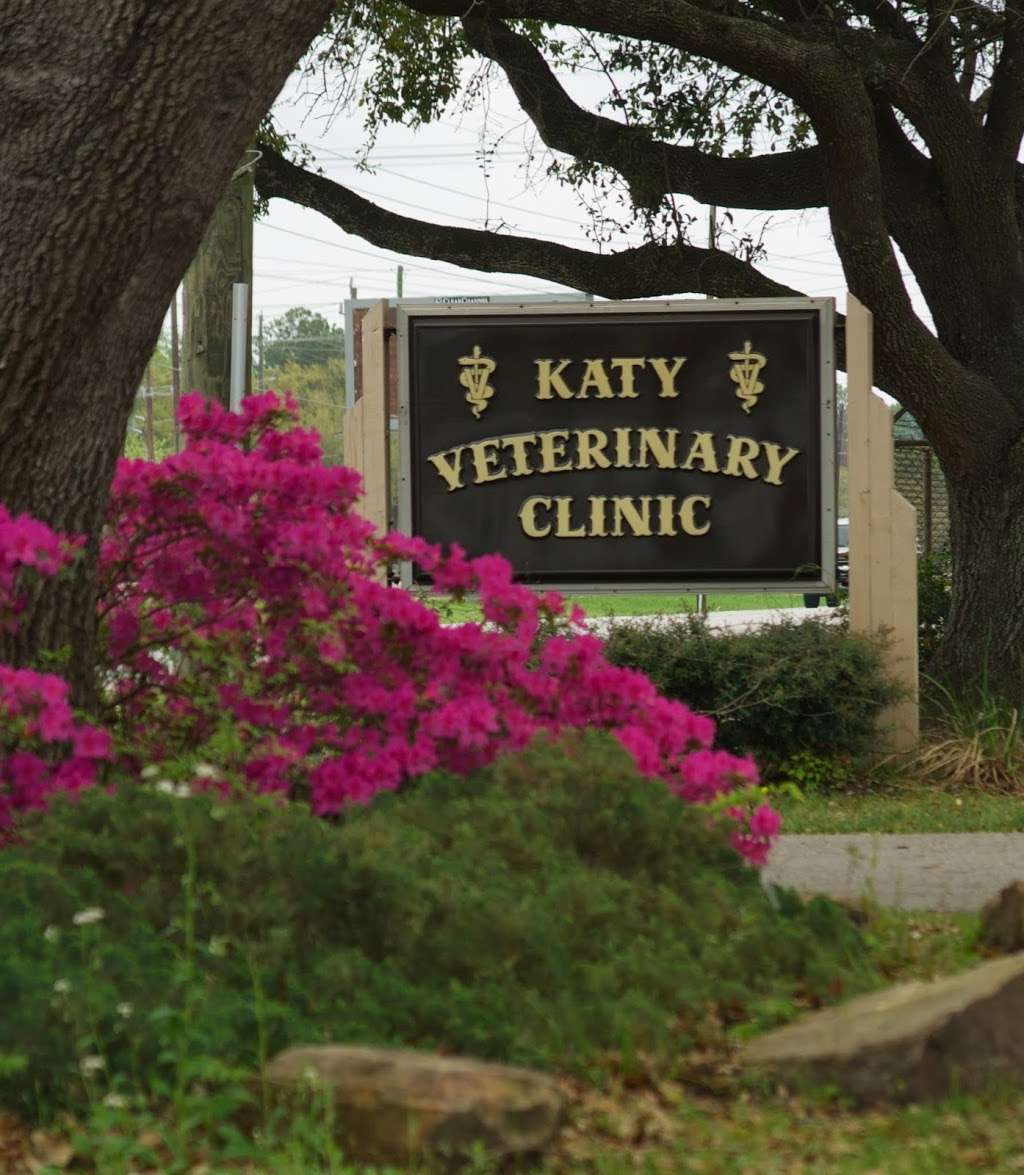Katy Veterinary Clinic | 27227 Hwy Blvd, Katy, TX 77494, USA | Phone: (281) 391-3169