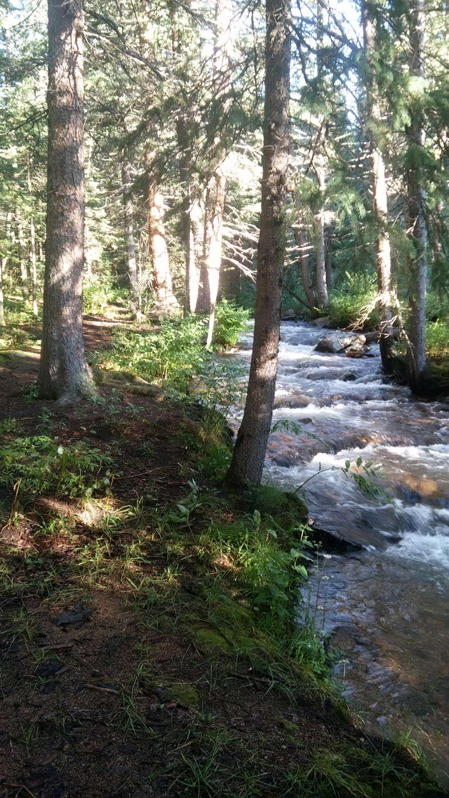 Bailey Streamside Cabin Rental | 8741 Co Rd 43, Bailey, CO 80421, USA | Phone: (720) 705-1945