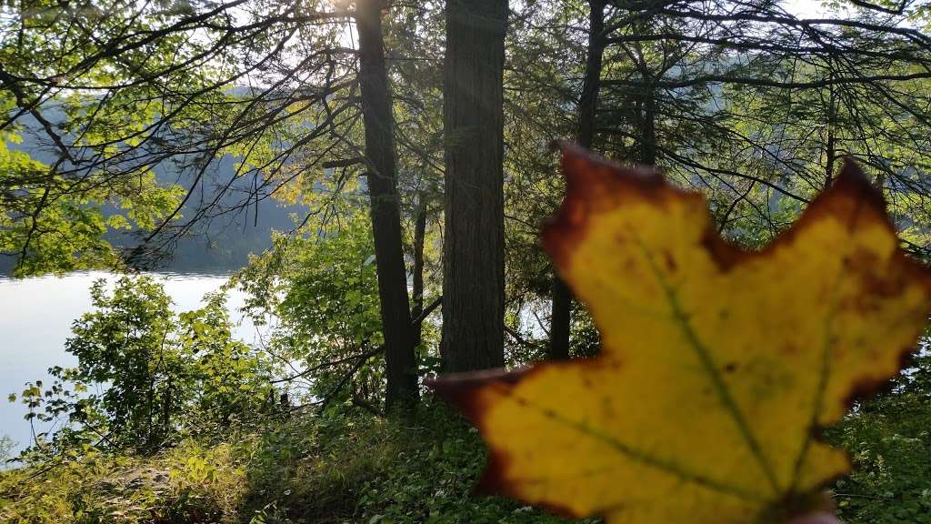 Appalachian Blue Trailhead | 1077 Cold Spring Turnpike, Hopewell Junction, NY 12533, USA