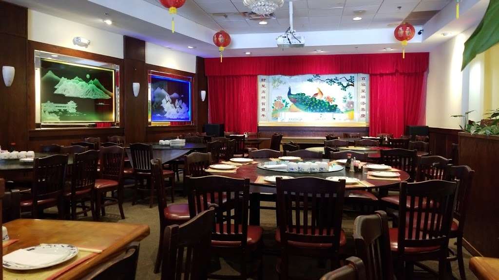 怡和 | 13533 Connecticut Ave, Silver Spring, MD 20906