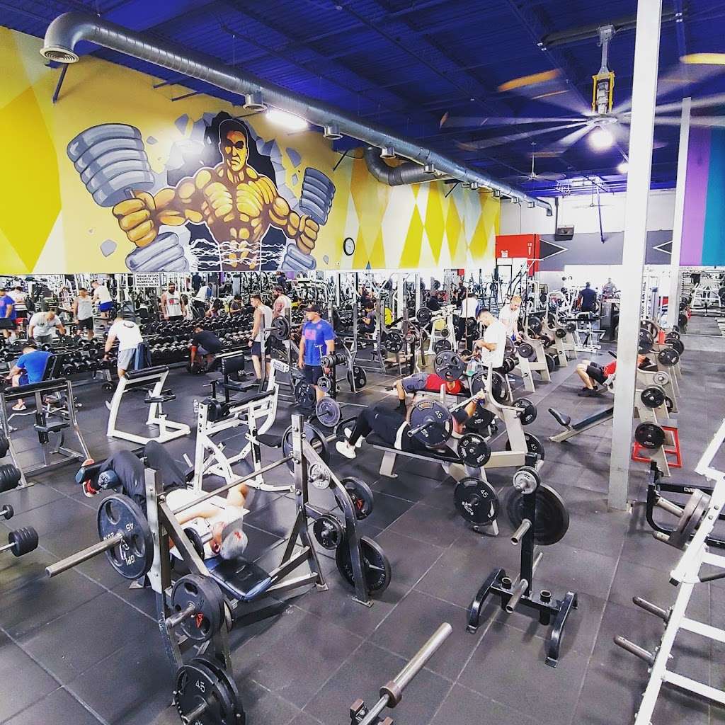 Pro-Fit Deer Park | 41 Mercedes Way, Edgewood, NY 11717 | Phone: (631) 782-6300