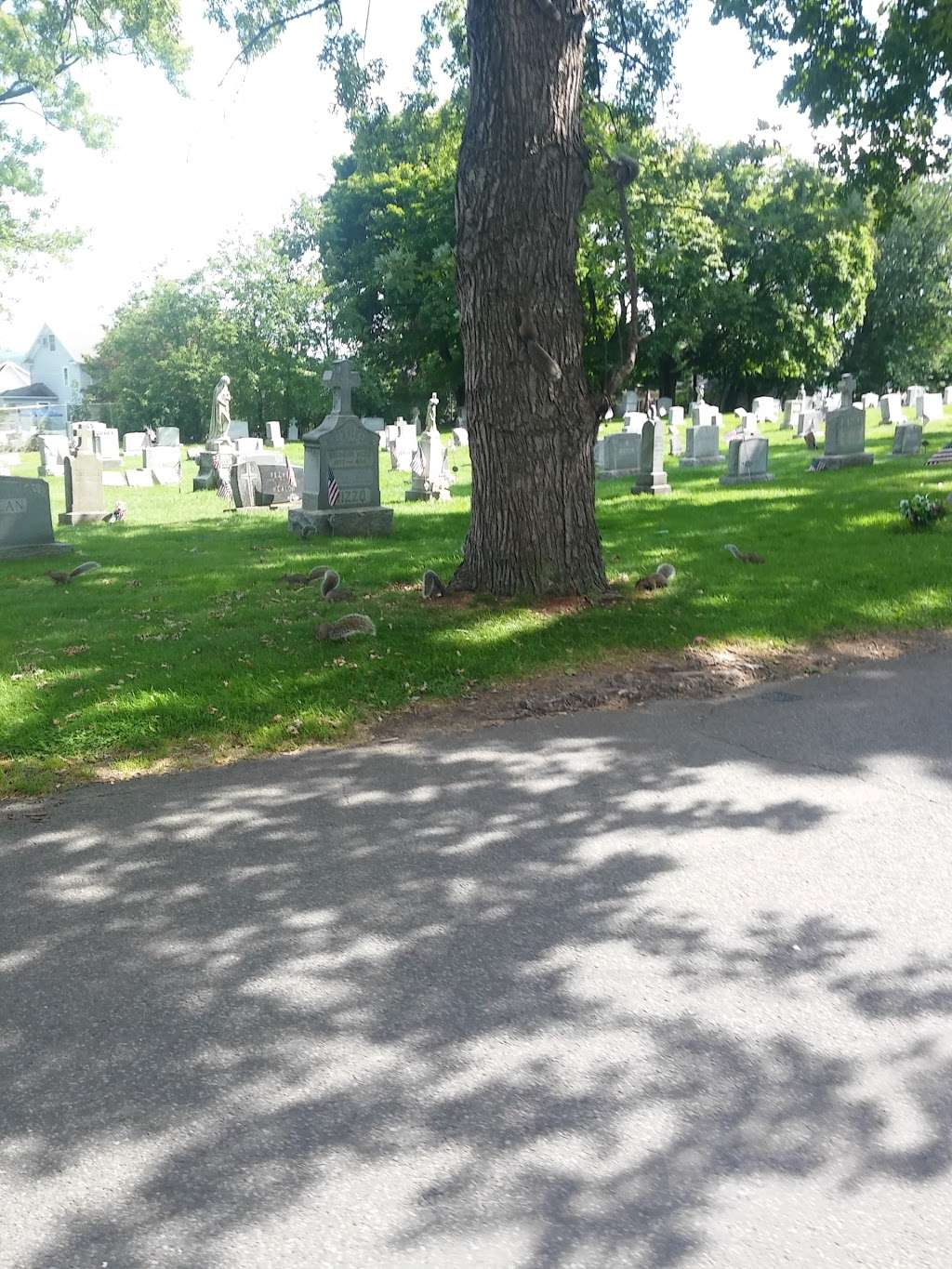 Cathedral Cemetery | 1708 Oram St, Scranton, PA 18504, USA | Phone: (570) 347-9251
