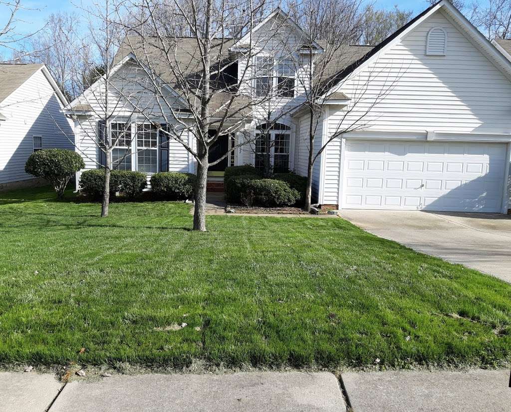 Tailor Made Lawns | 1003 W 1st St, Conover, NC 28613 | Phone: (828) 465-4070