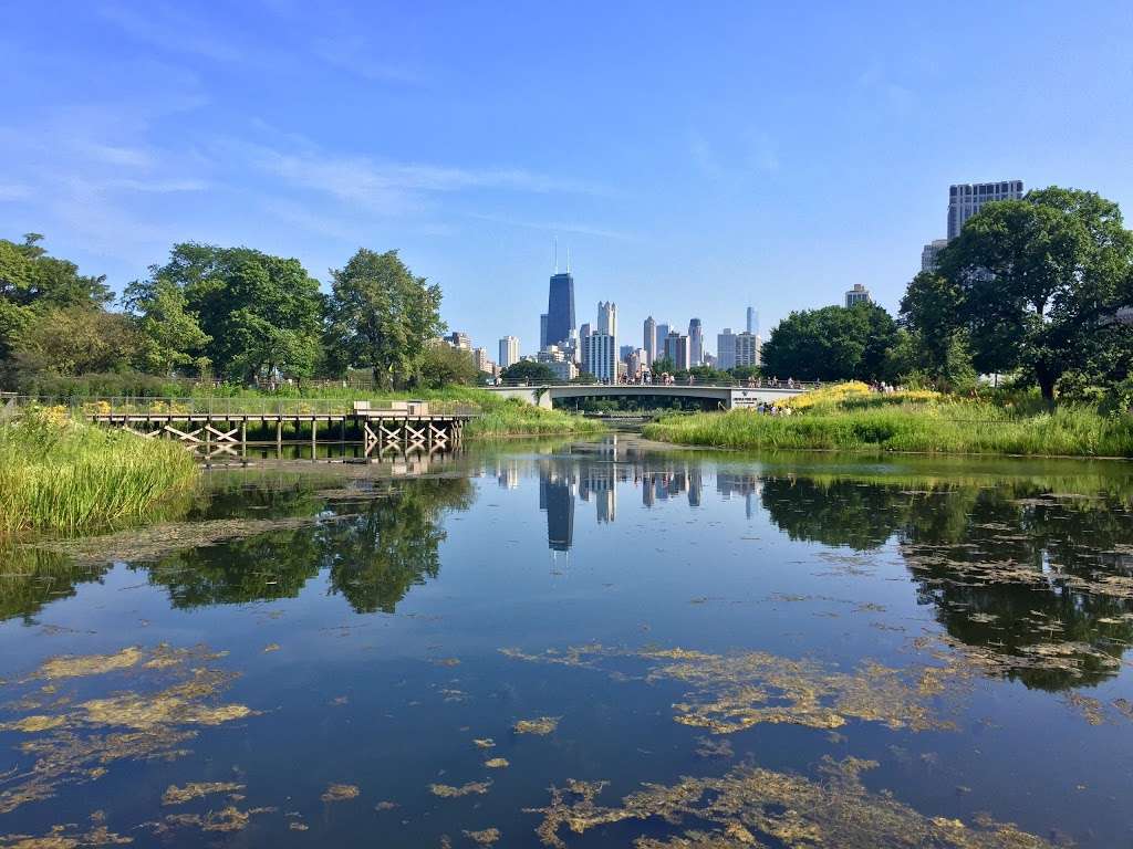 South Pond Nature Walk | 1901 N Stockton Dr, Chicago, IL 60614, USA