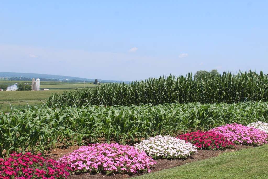 Gap View Farm Market | 5230 Newport Rd, Gap, PA 17527, USA | Phone: (484) 667-1382