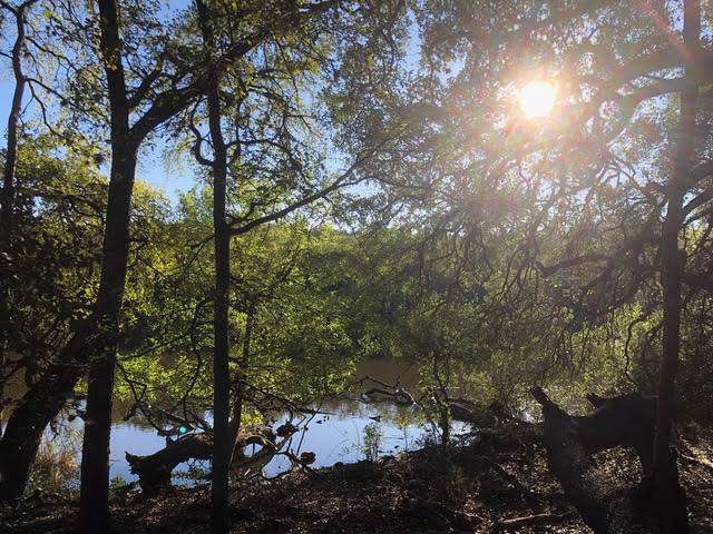 Bulverde Oaks Nature Preserve | 17480 Judson Rd, San Antonio, TX 78247, USA | Phone: (210) 222-8430