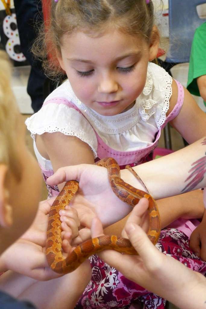 Breachwood Green Pre-school | Village Hall, Chapel Rd, Breachwood Green, Hitchin SG4 8NX, UK | Phone: 01438 831099