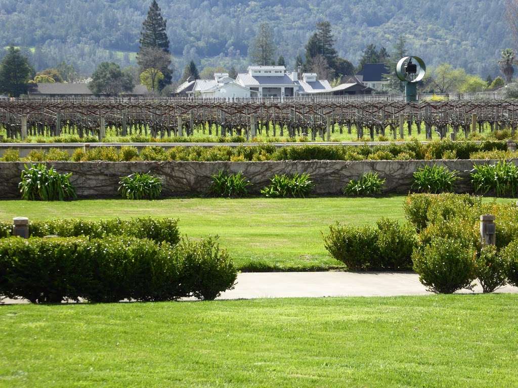 Master Wine Tours | 25 Fairways Dr, Napa, CA 94558, USA | Phone: (707) 266-3750