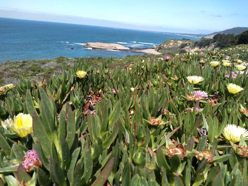 Pelican Rock Parking | Davenport, CA 95017