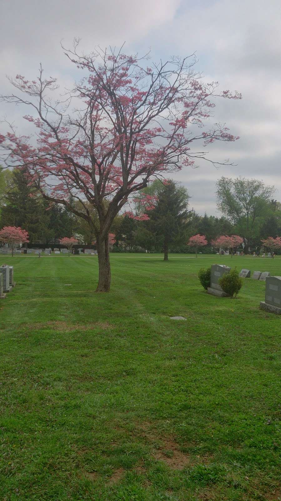 Ewing Cemetery | 78 Scotch Rd, Ewing Township, NJ 08628, USA | Phone: (609) 882-0279