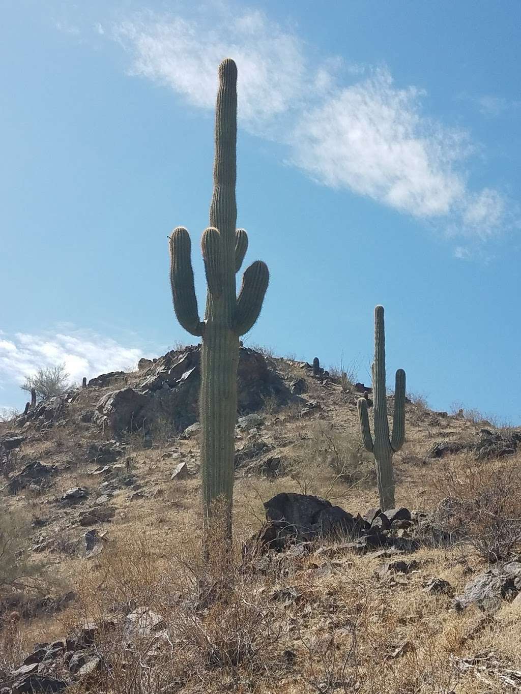 Bursera Peak | Phoenix, AZ 85045, USA