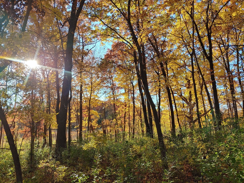 Big Marine Park Reserve | 17495 Manning Trail N, Marine on St Croix, MN 55047, USA | Phone: (651) 430-8200