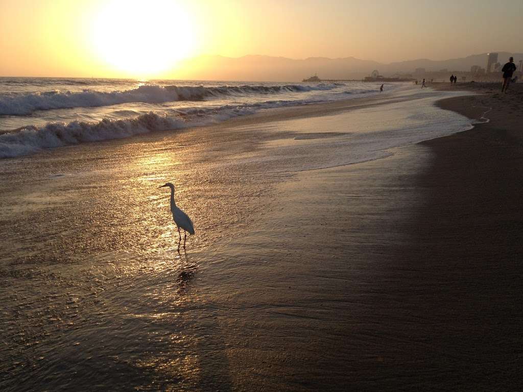 Santa Monica Beaches | 2600 Barnard Way, Santa Monica, CA 90405, USA | Phone: (310) 458-8495 Santa Monica Beaches | 2600 Barnard Way, Santa Monica, CA 90405, USA | Phone: (310) 458-8495