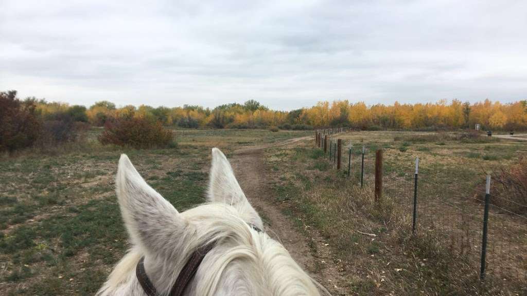 12 Mile Stables | 5547 S Parker Rd, Aurora, CO 80014, USA | Phone: (303) 699-6128