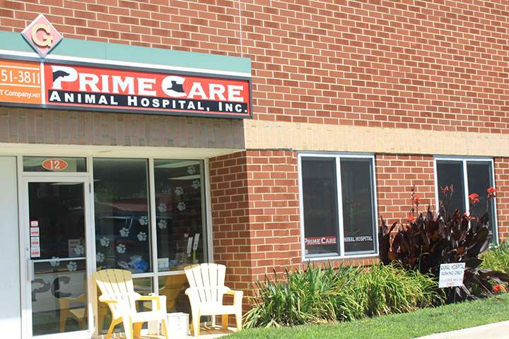 Prime Care Animal Hospital | 750 MD-3 #12, Gambrills, MD 21054 | Phone: (410) 923-7387